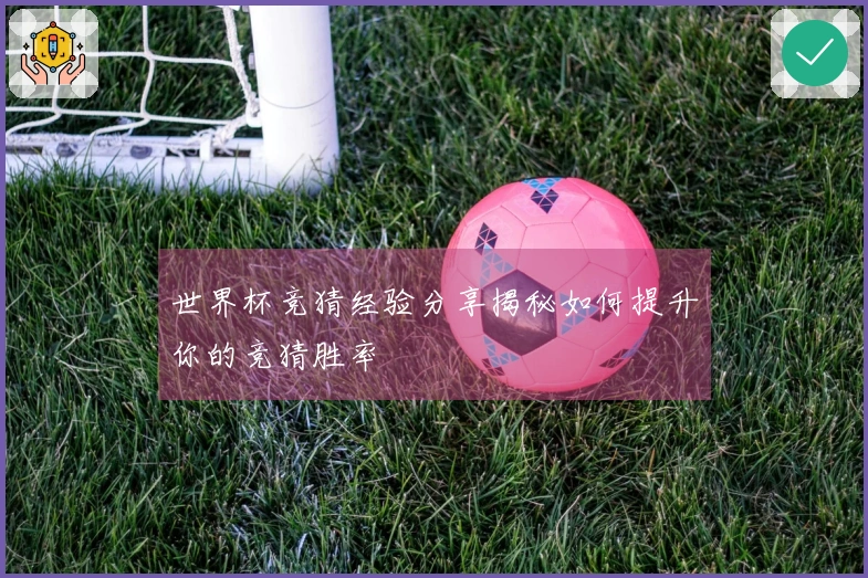 世界杯竞猜经验分享揭秘如何提升你的竞猜胜率