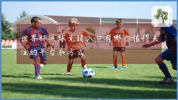 世界杯滚球竞猜入口有哪些值得关注的平台和方式