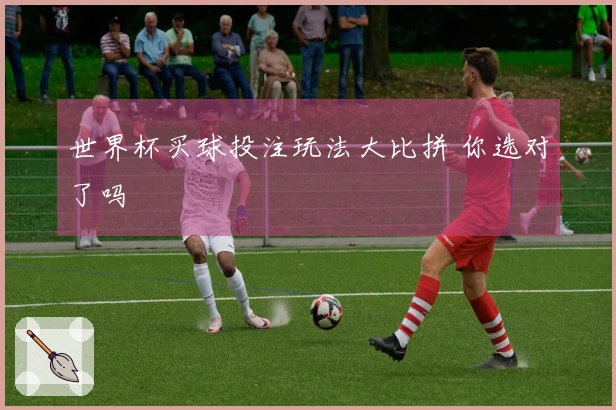 世界杯买球投注玩法大比拼 你选对了吗