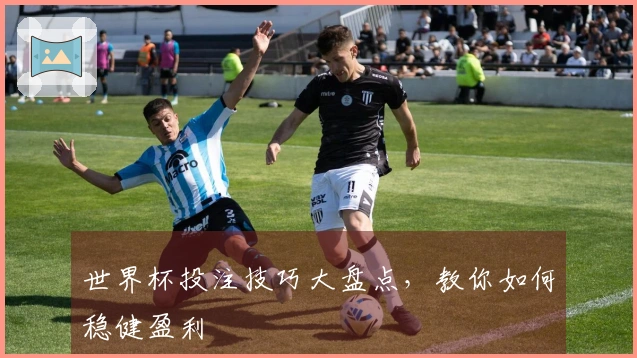 世界杯投注技巧大盘点，教你如何稳健盈利