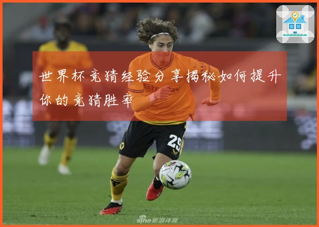 世界杯竞猜经验分享揭秘如何提升你的竞猜胜率