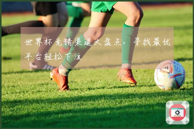 世界杯竞猜渠道大盘点，寻找最优平台轻松下注