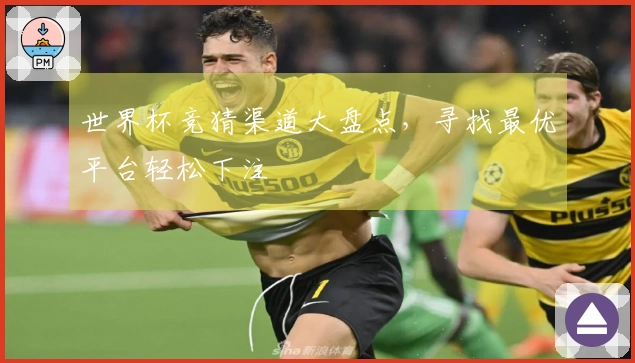 世界杯竞猜渠道大盘点，寻找最优平台轻松下注