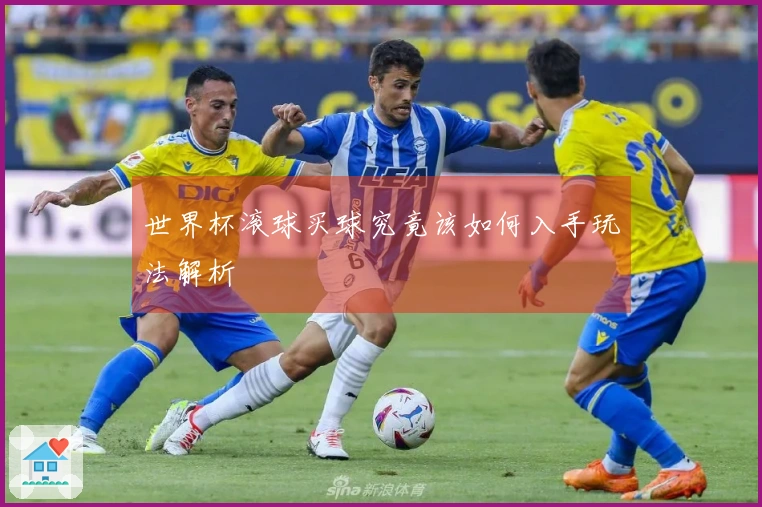 世界杯滚球买球究竟该如何入手玩法解析