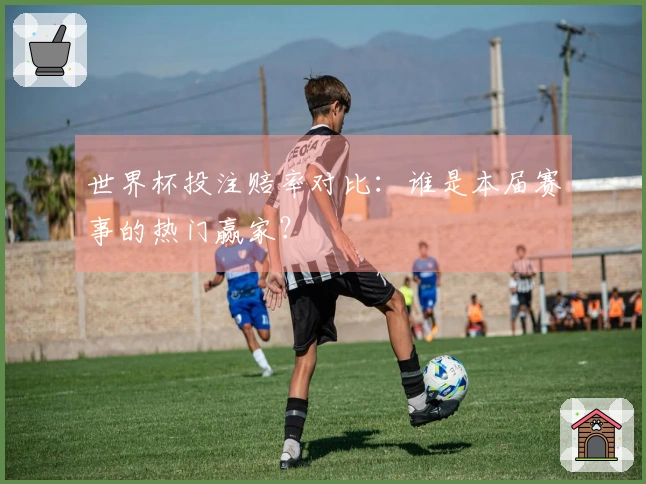世界杯投注赔率对比：谁是本届赛事的热门赢家？