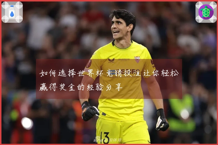 如何选择世界杯竞猜投注让你轻松赢得奖金的经验分享