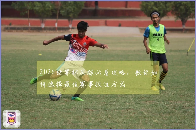 2026世界杯买球必看攻略，教你如何选择最佳赛事投注方式