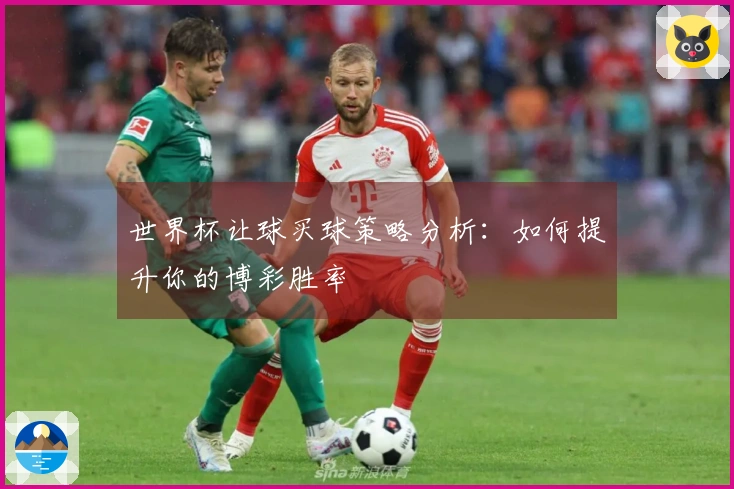 世界杯让球买球策略分析：如何提升你的博彩胜率