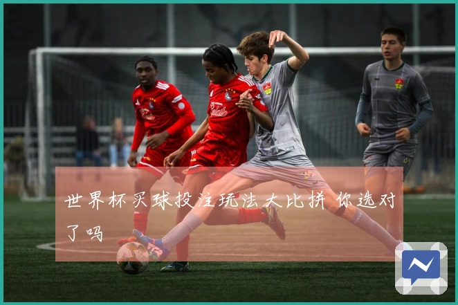 世界杯买球投注玩法大比拼 你选对了吗
